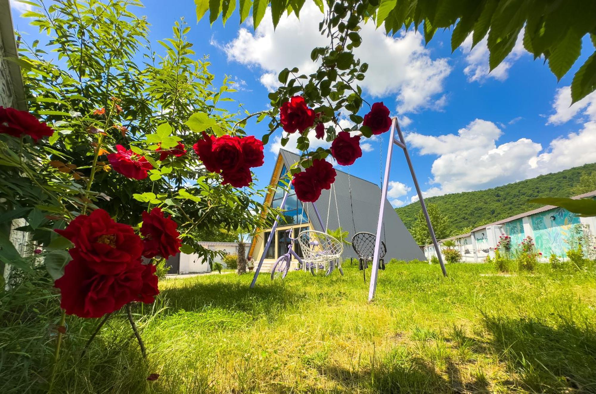 Qafqaz Family Chalet Gabala Exteriér fotografie